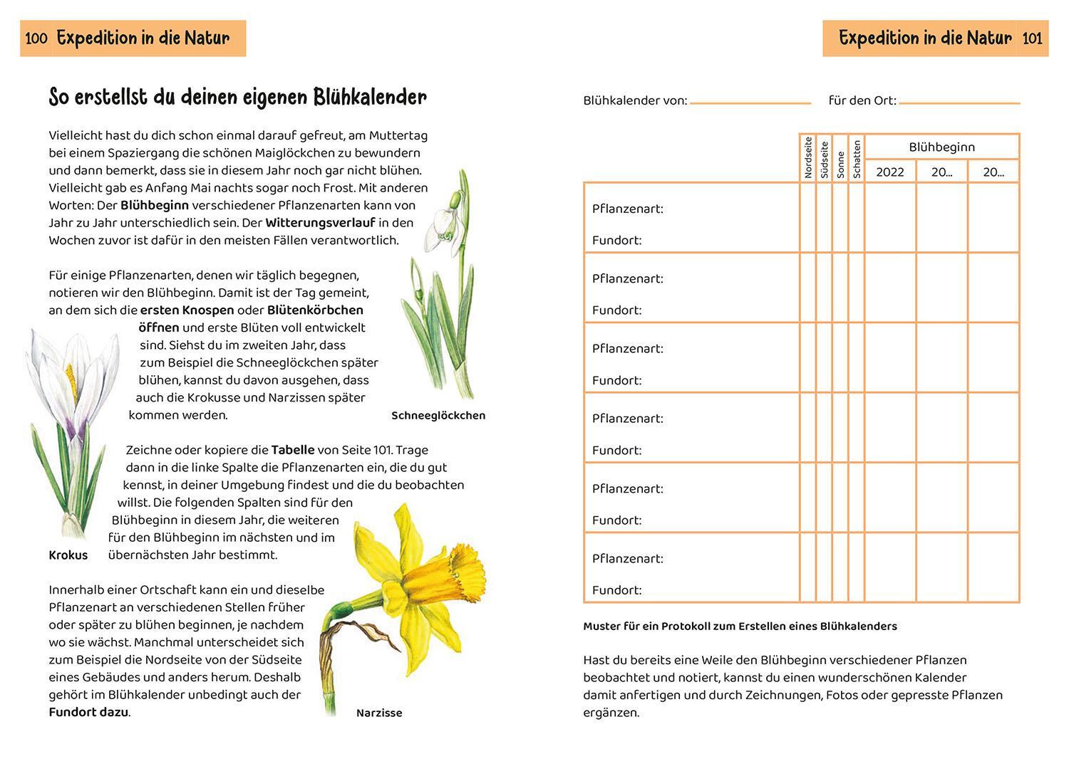 Bild: 9783440172469 | Was blüht denn da? Kindernaturführer | 85 heimische Blumen | Buch