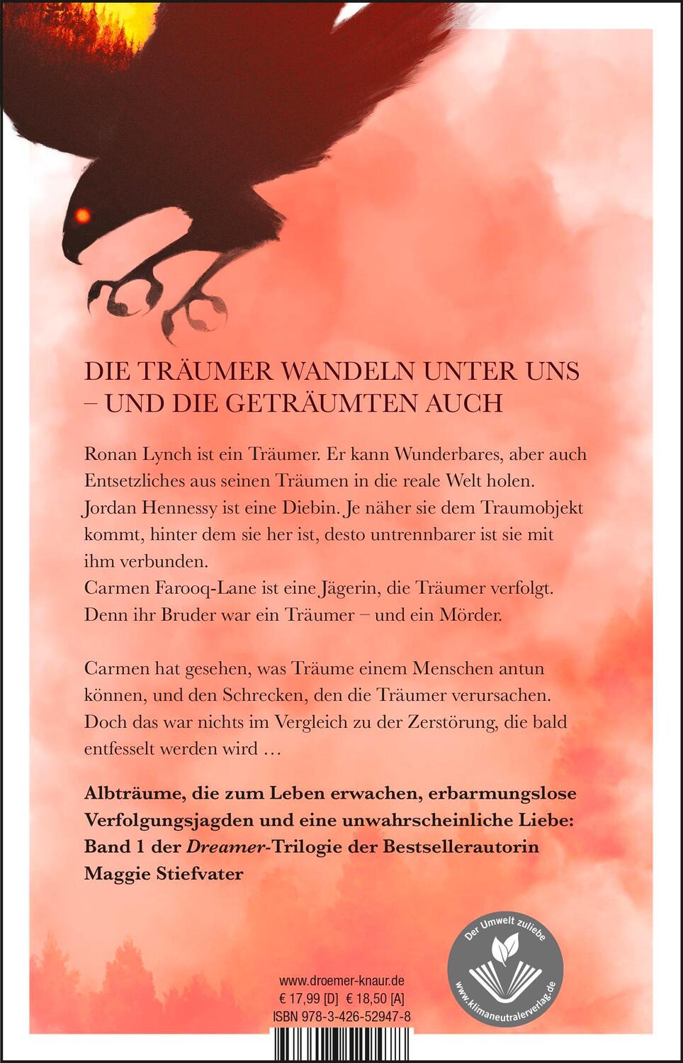 Rückseite: 9783426529478 | Wie der Falke fliegt | Maggie Stiefvater | Taschenbuch | 494 S. | 2022