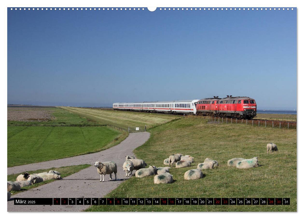 Bild: 9783435425570 | Norddeutsche Eisenbahnen (Wandkalender 2025 DIN A2 quer), CALVENDO...