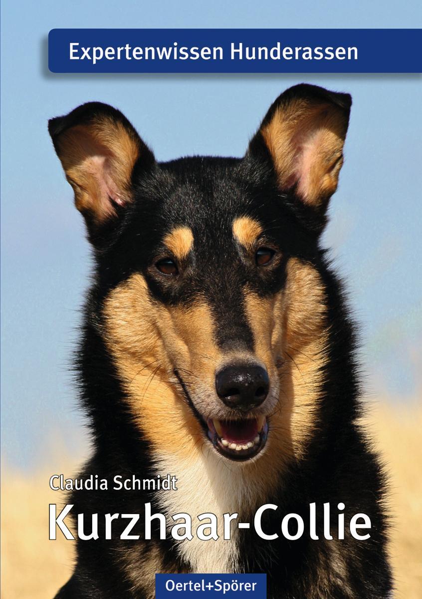 Cover: 9783886278350 | Kurzhaar-Collie | Expertenwissen Hunderassen | Claudia Schmidt | Buch