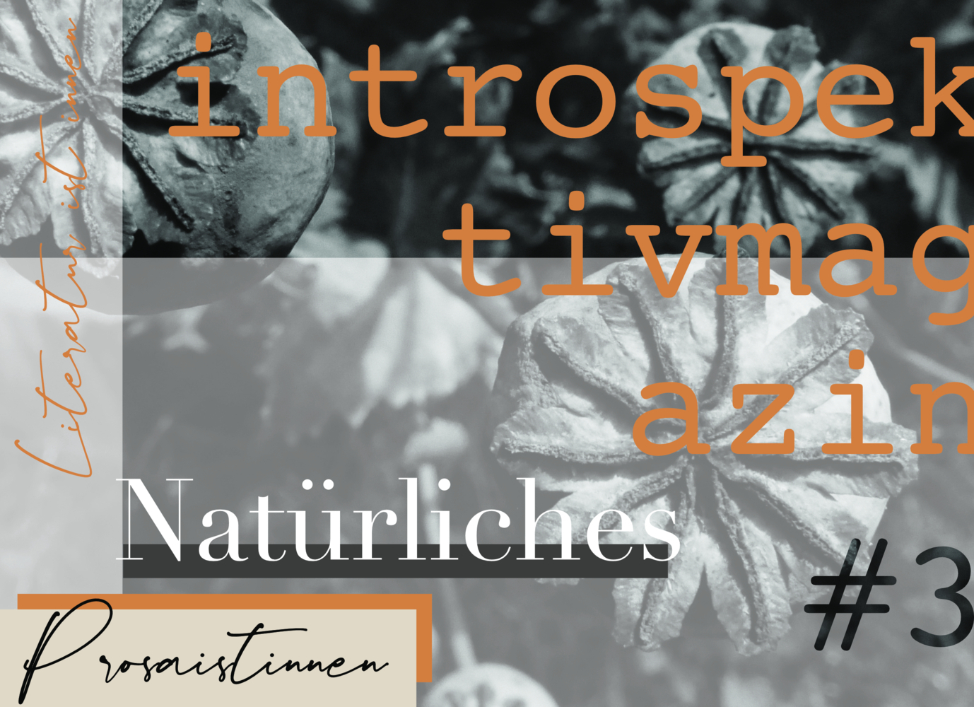 Cover: 9783985952960 | introspektiv #3 - Natürliches | Literaturmagazin | Lenz (u. a.) | Buch