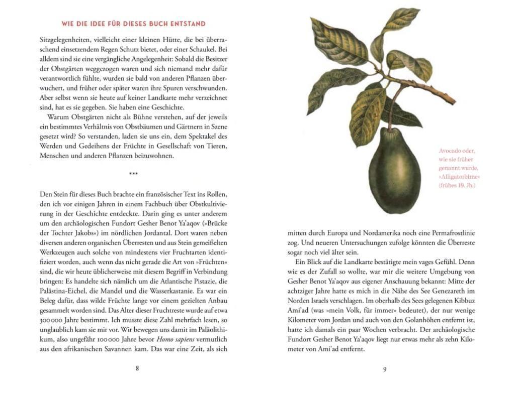 Bild: 9783957285669 | Von der Kunst, die Früchte zu zähmen | Bernd Brunner | Buch | Deutsch