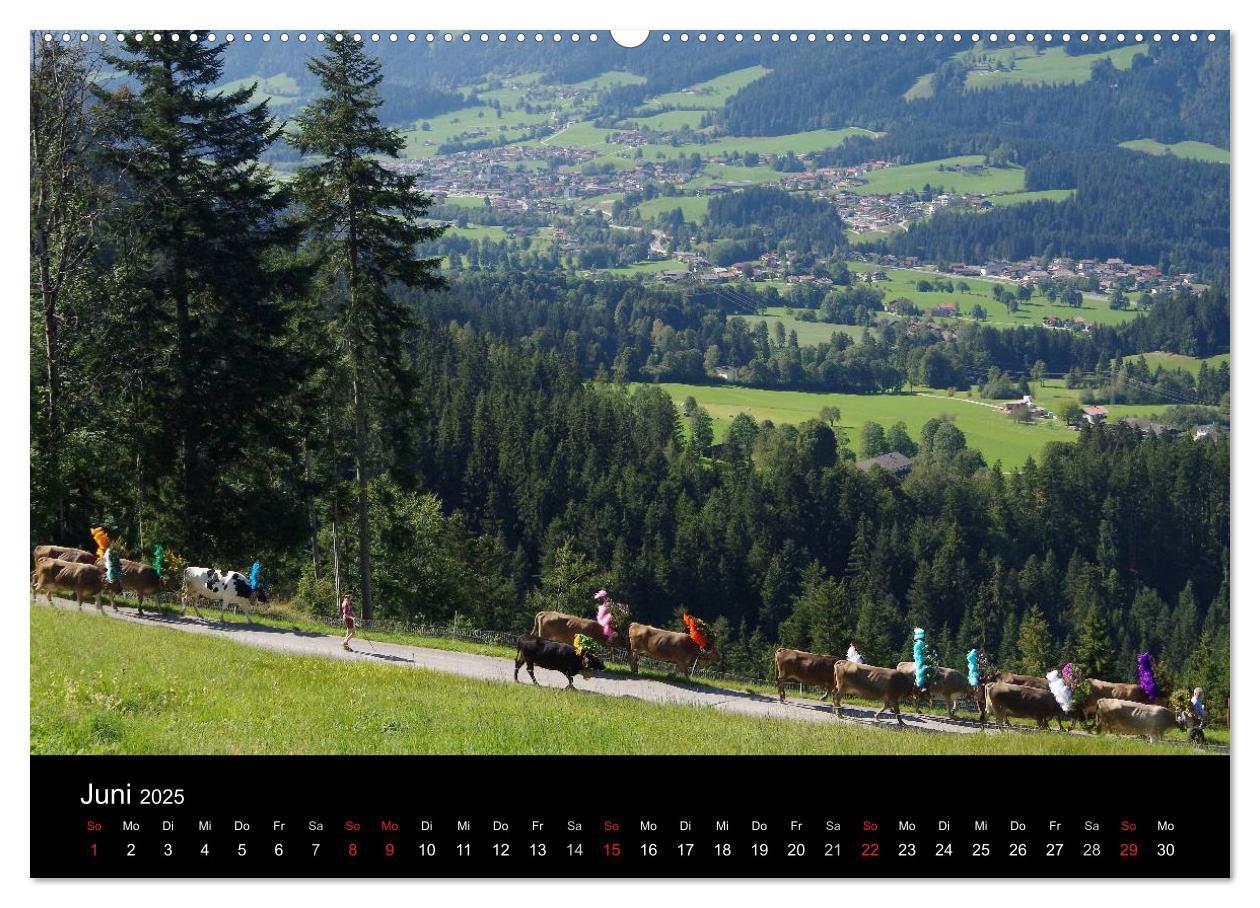 Bild: 9783435536597 | Almabtrieb in Tirol (Wandkalender 2025 DIN A2 quer), CALVENDO...