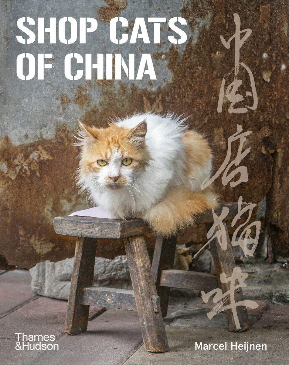 Cover: 9780500296110 | Shop Cats of China | Marcel Heijnen | Taschenbuch | Englisch | 2021