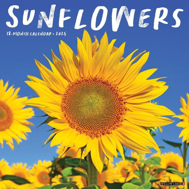 Cover: 9781549245039 | Sunflowers 2025 12 X 12 Wall Calendar | Willow Creek Press | Kalender