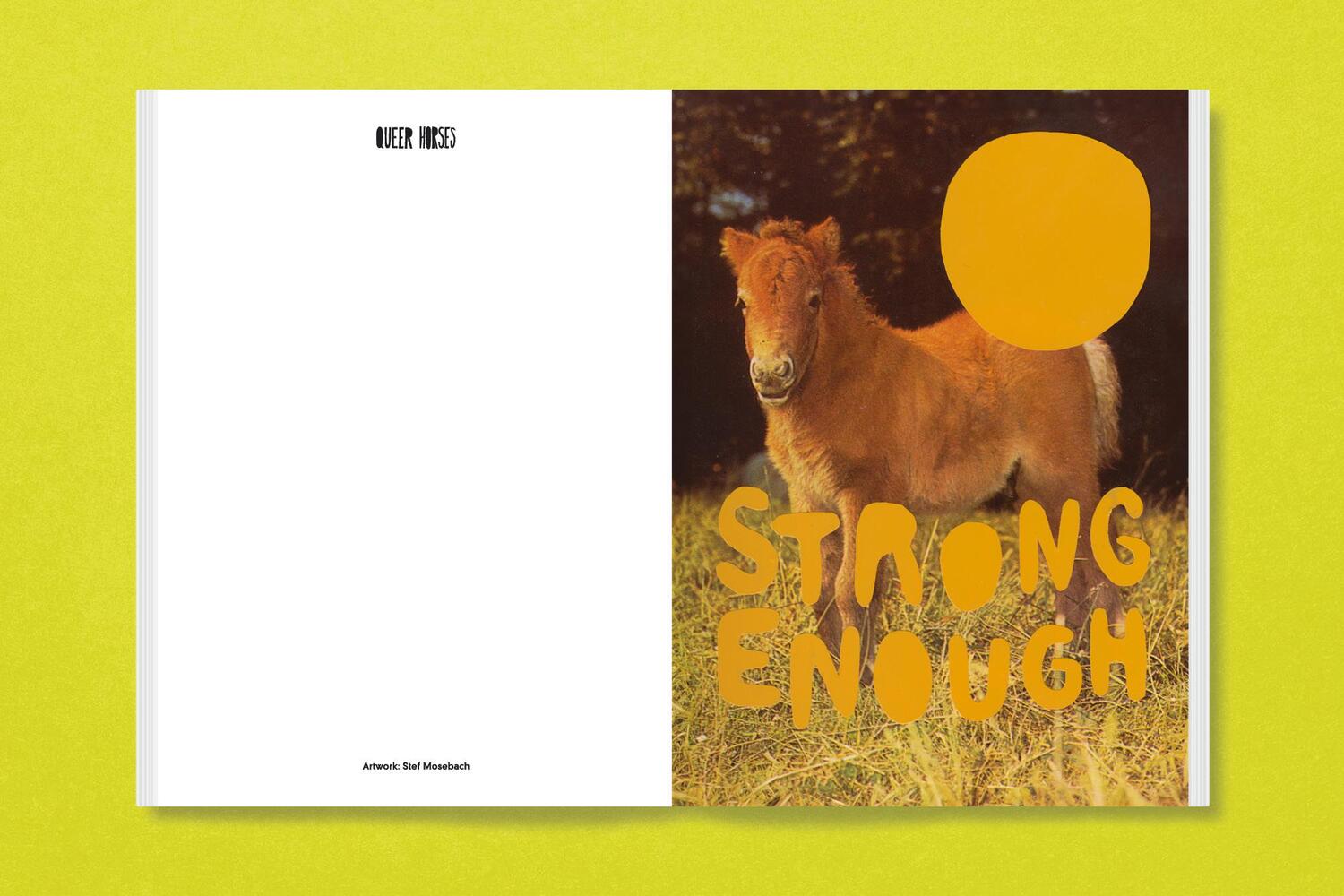 Bild: 9783987411366 | Queer Horses | Stefan Mosebach | Taschenbuch | 80 S. | Englisch | 2024