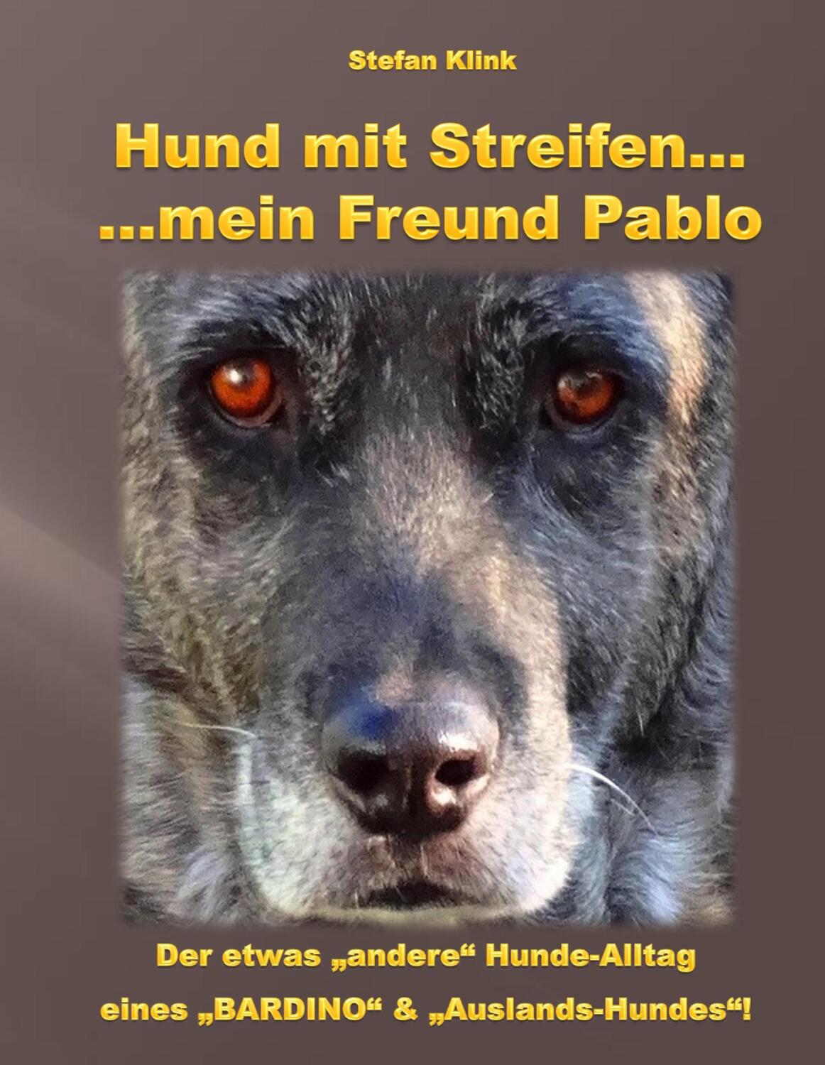 Cover: 9783743195165 | Hund mit Streifen ... | ... mein Freund Pablo | Stefan Klink | Buch