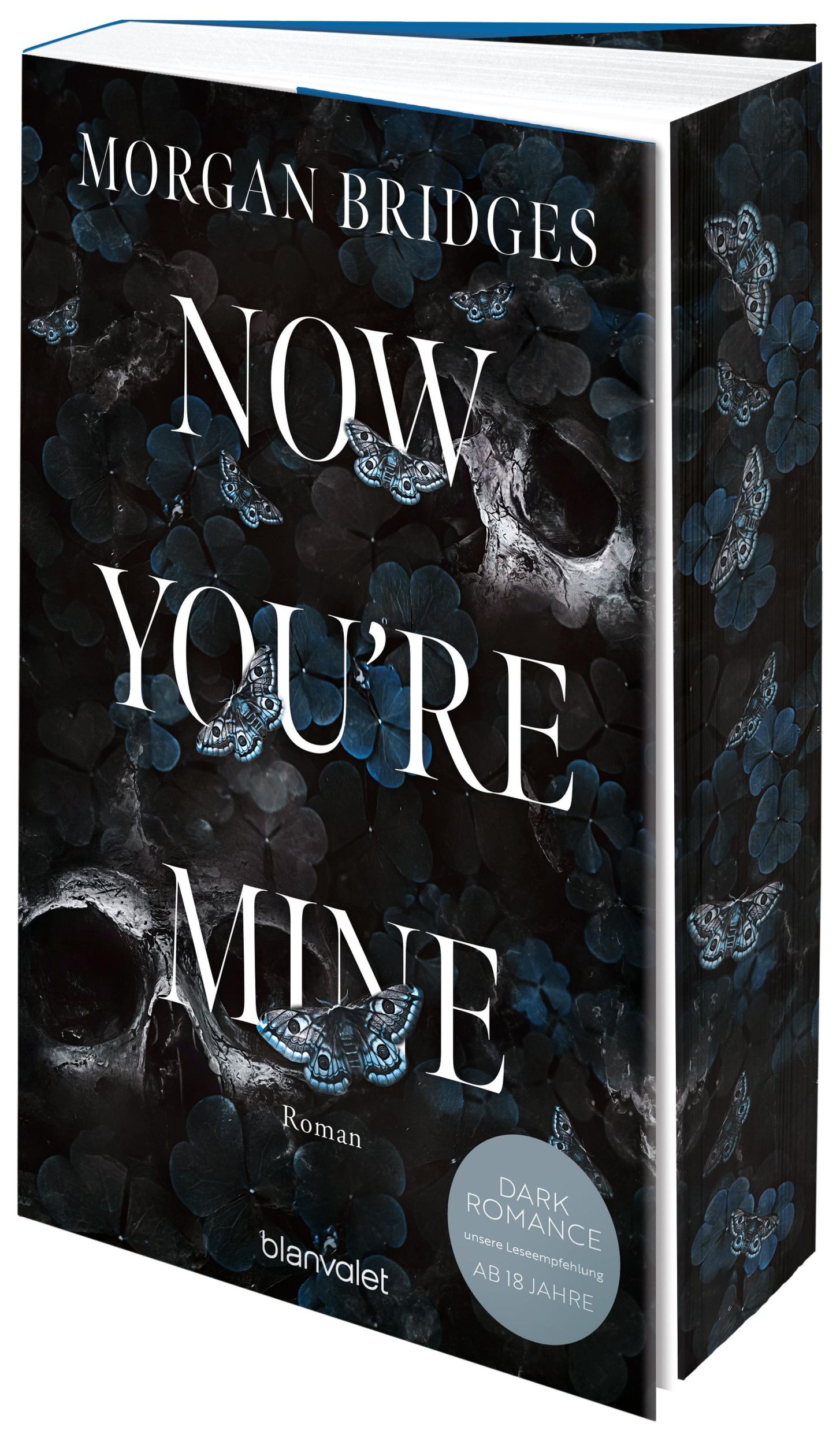 Cover: 9783734114533 | Now You're Mine | Morgan Bridges | Taschenbuch | Possessing Her | 2025