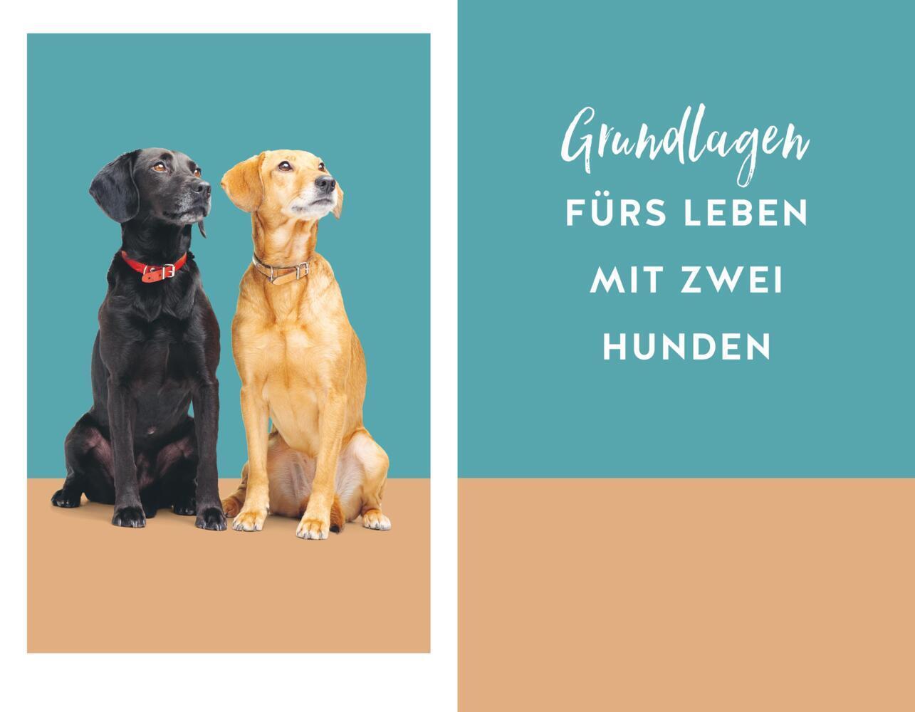 Bild: 9783833878985 | Wahres Hundeglück im Doppelpack | Julie Leuze (u. a.) | Buch | 208 S.