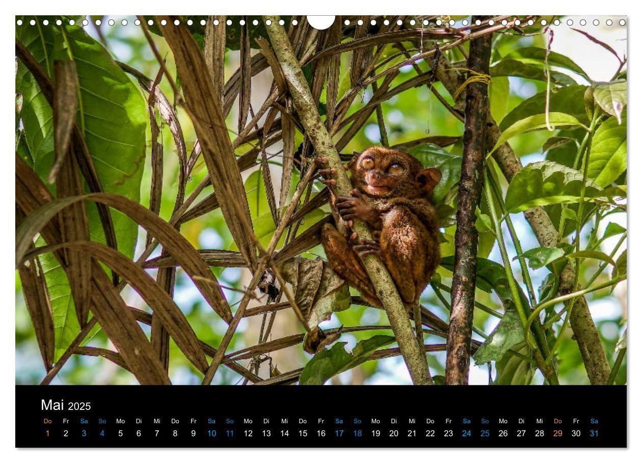 Bild: 9783435280803 | Philippinen Foto Wandkalender 2025 (Wandkalender 2025 DIN A3 quer),...