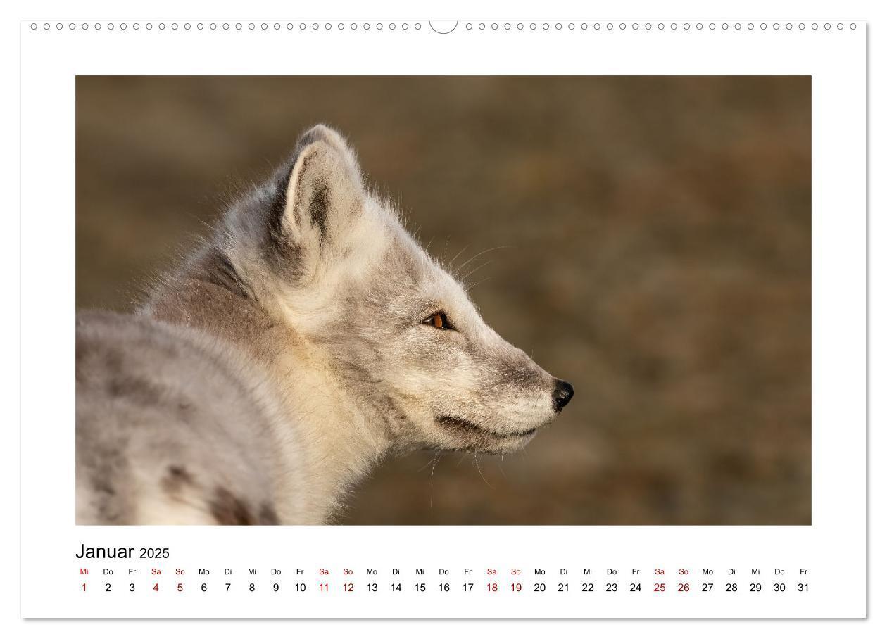 Bild: 9783383885167 | Spitzbergen und der Polarkreis (hochwertiger Premium Wandkalender...