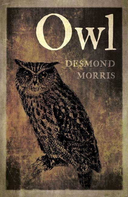 Cover: 9781780239163 | Owl | Desmond Morris | Taschenbuch | Kartoniert / Broschiert | 2018