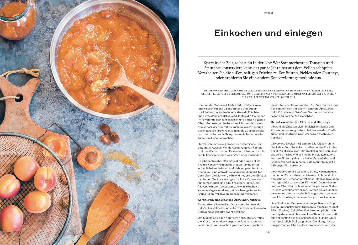 Bild: 9783841904546 | 365 Tage Natur: fühlen, schmecken, entdecken | Anna Carlile | Buch