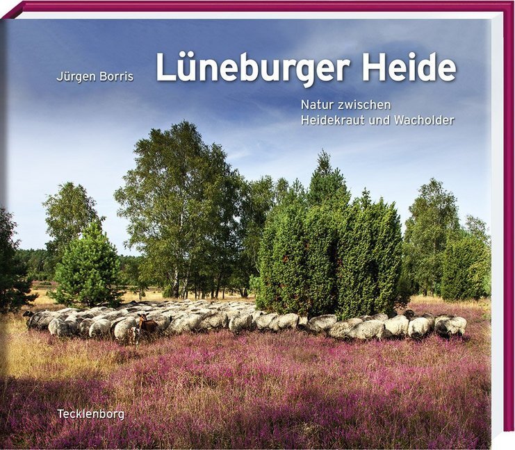 Cover: 9783944327280 | Lüneburger Heide | Natur zwischen Heidekraut und Wacholder | Buch