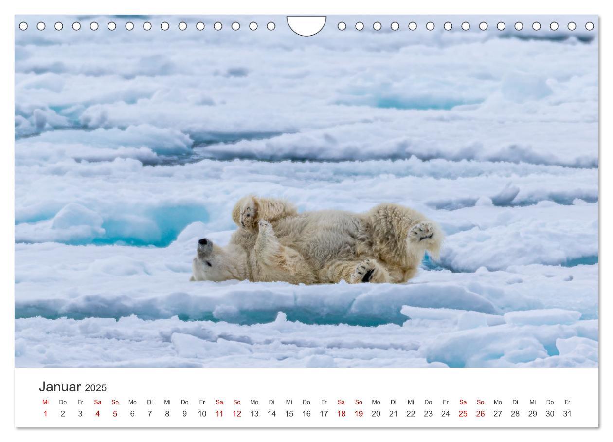 Bild: 9783457228692 | Spitzbergen - Eis, Eisbären und mehr (Wandkalender 2025 DIN A4...