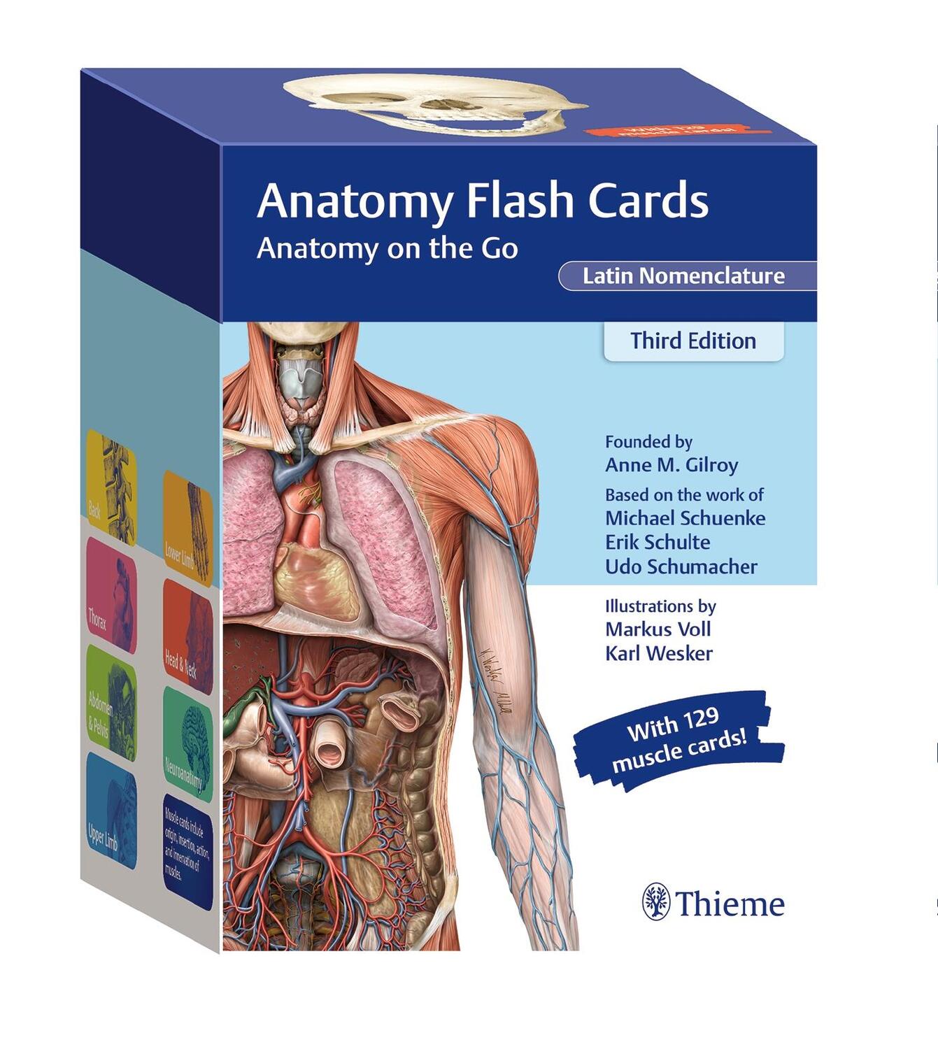 Cover: 9781684202225 | Anatomy Flash Cards, Latin Nomenclature | Anatomy on the Go | Gilroy