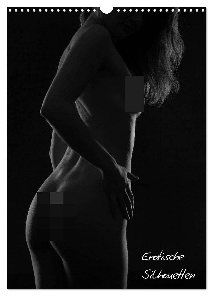 Cover: 9783675905405 | Erotische Silhouetten / CH-Version (Wandkalender 2024 DIN A3 hoch),...