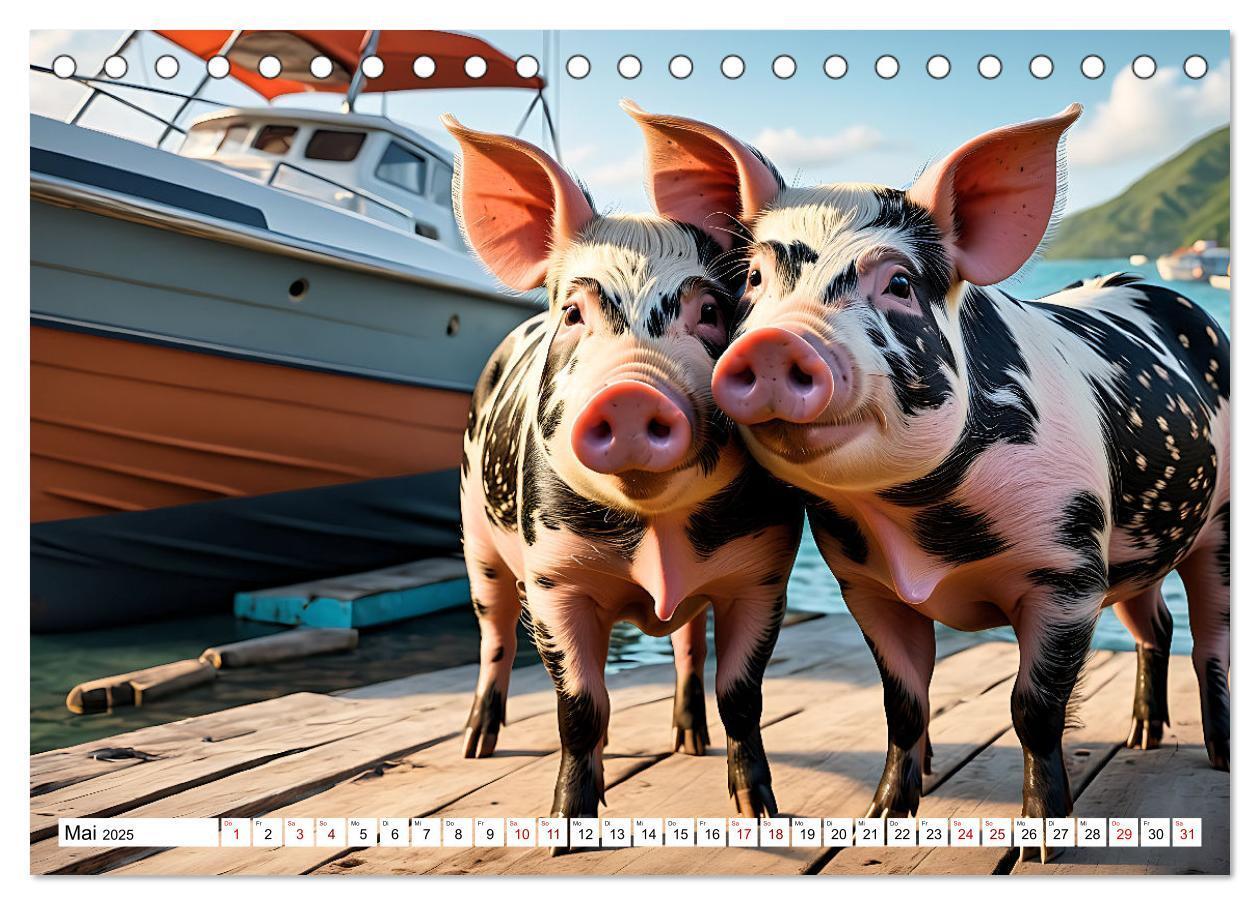 Bild: 9783383835292 | Schwimmende Schweine im Paradies (Tischkalender 2025 DIN A5 quer),...