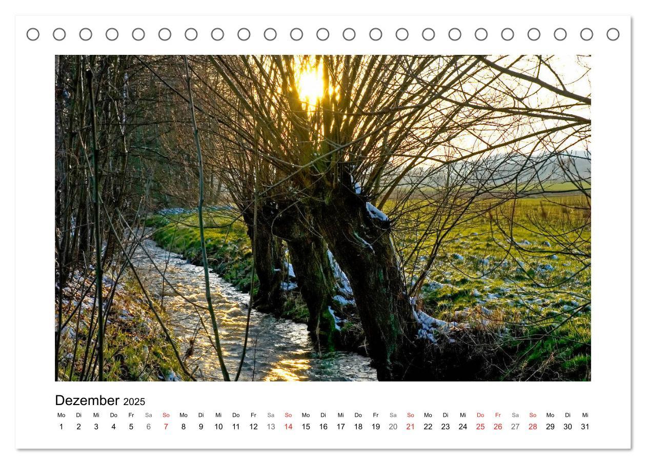 Bild: 9783435154623 | Impressionen aus Ostwestfalen-Lippe (Tischkalender 2025 DIN A5...