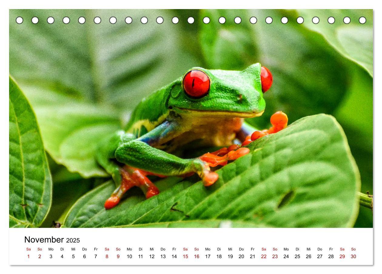 Bild: 9783435273492 | Costa Rica - das Naturparadies (Tischkalender 2025 DIN A5 quer),...