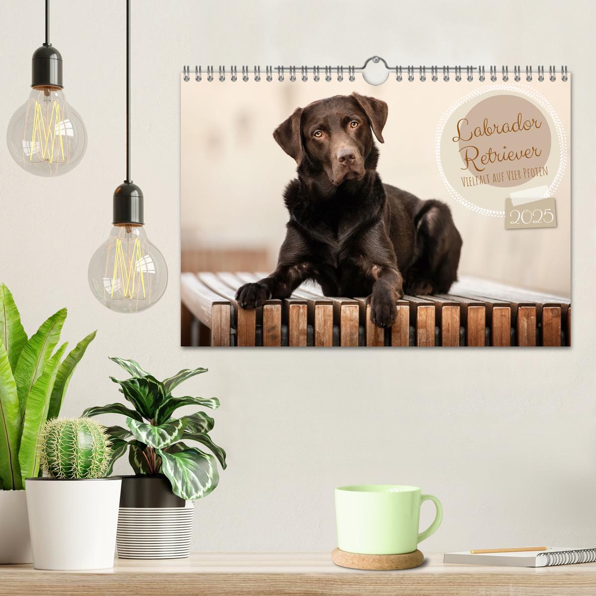 Bild: 9783383960611 | Labrador Retriever - Vielfalt auf Vier Pfoten (Wandkalender 2025...