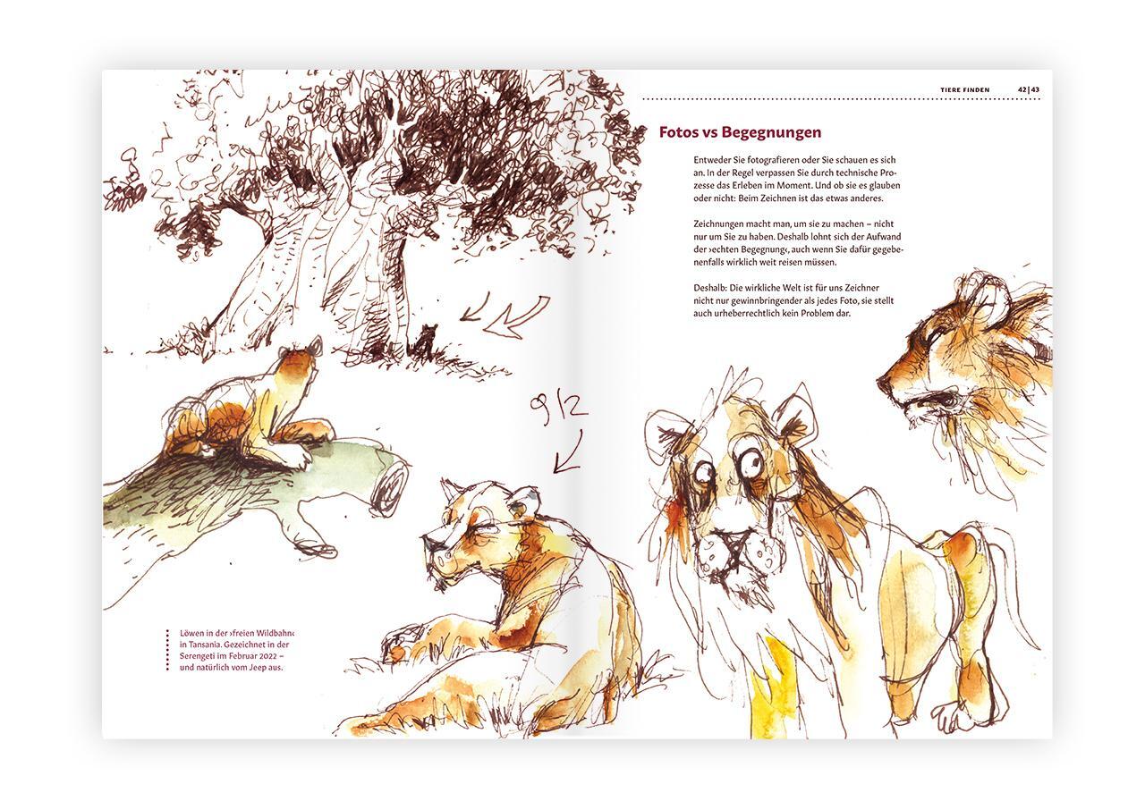 Bild: 9783874399661 | Tiere zeichnen und verstehen | Felix Scheinberger | Buch | 168 S.