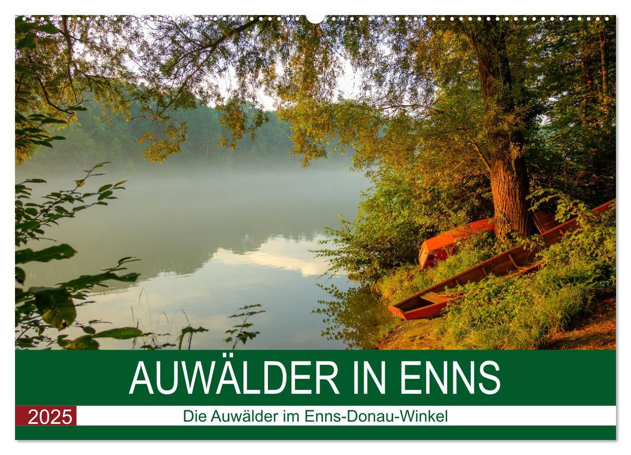 Cover: 9783383994807 | Auwälder bei Enns (Wandkalender 2025 DIN A2 quer), CALVENDO...