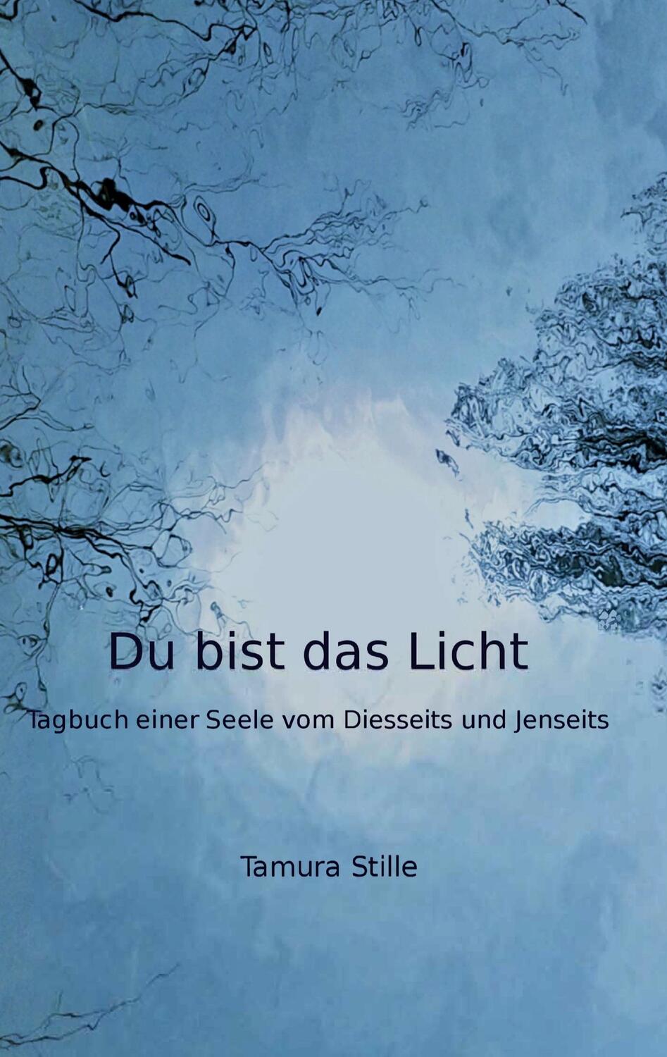 Cover: 9783749792672 | Du bist das Licht | Tagebuch einer Seele vom Diesseits und Jenseits