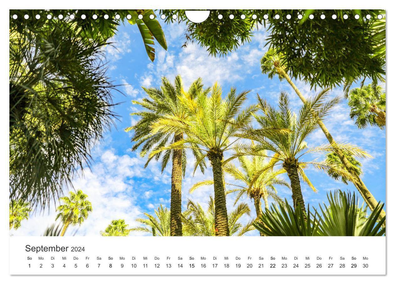 Bild: 9783675435667 | Das farbenfrohe Marokko (Wandkalender 2024 DIN A4 quer), CALVENDO...