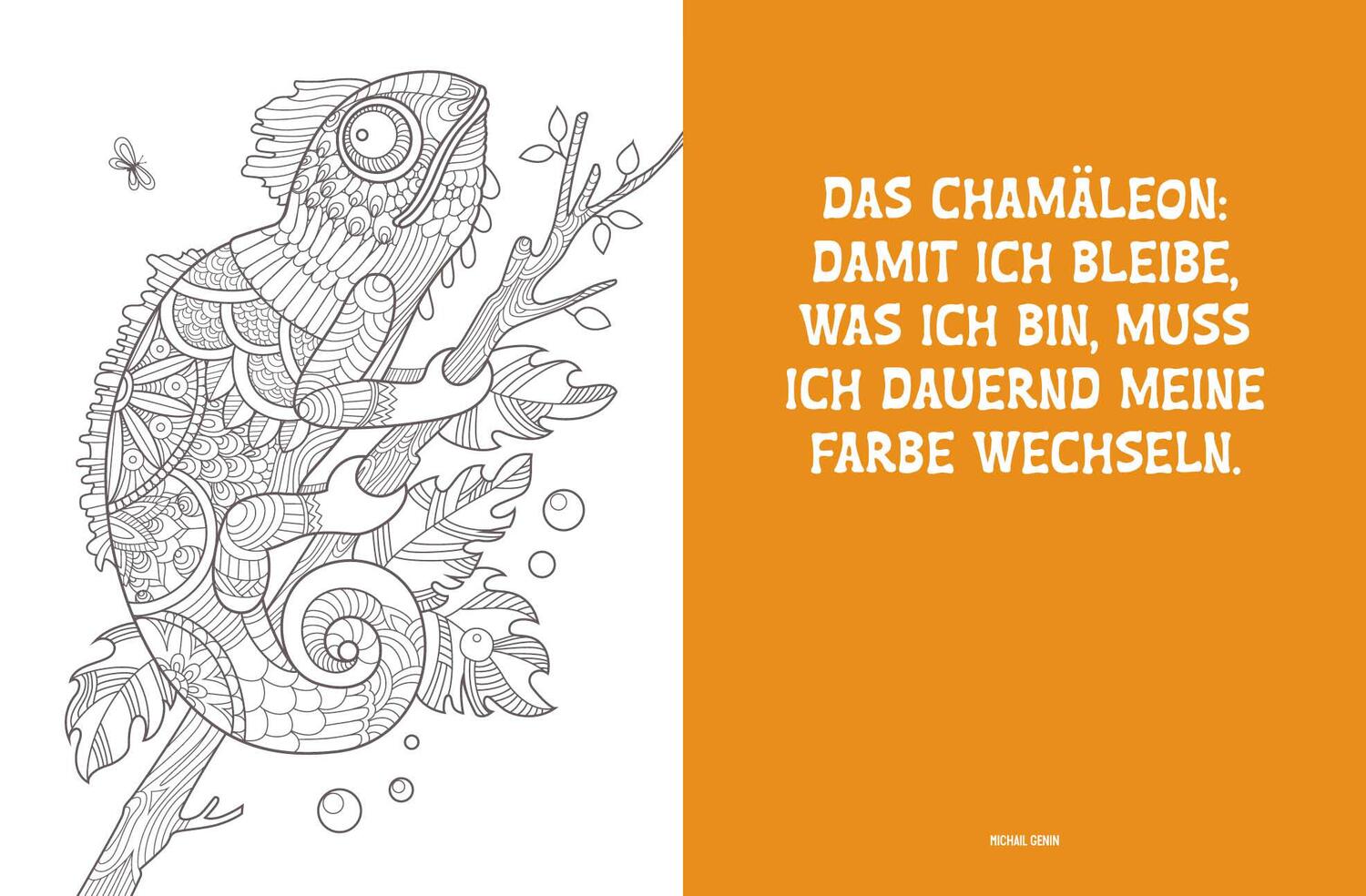 Bild: 9783745904093 | Colorful Mandala - Mandala - Dschungeltiere | Taschenbuch | 96 S.