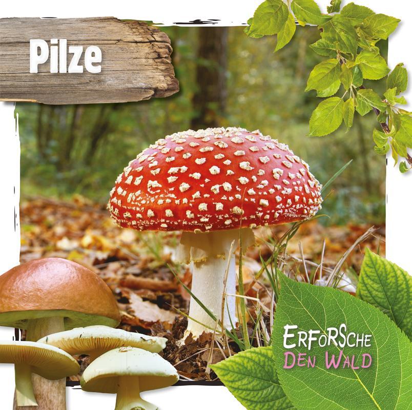 Cover: 9789463415712 | Pilze | Erforsche den Wald | Robin Twiddy | Buch | Deutsch | 2020