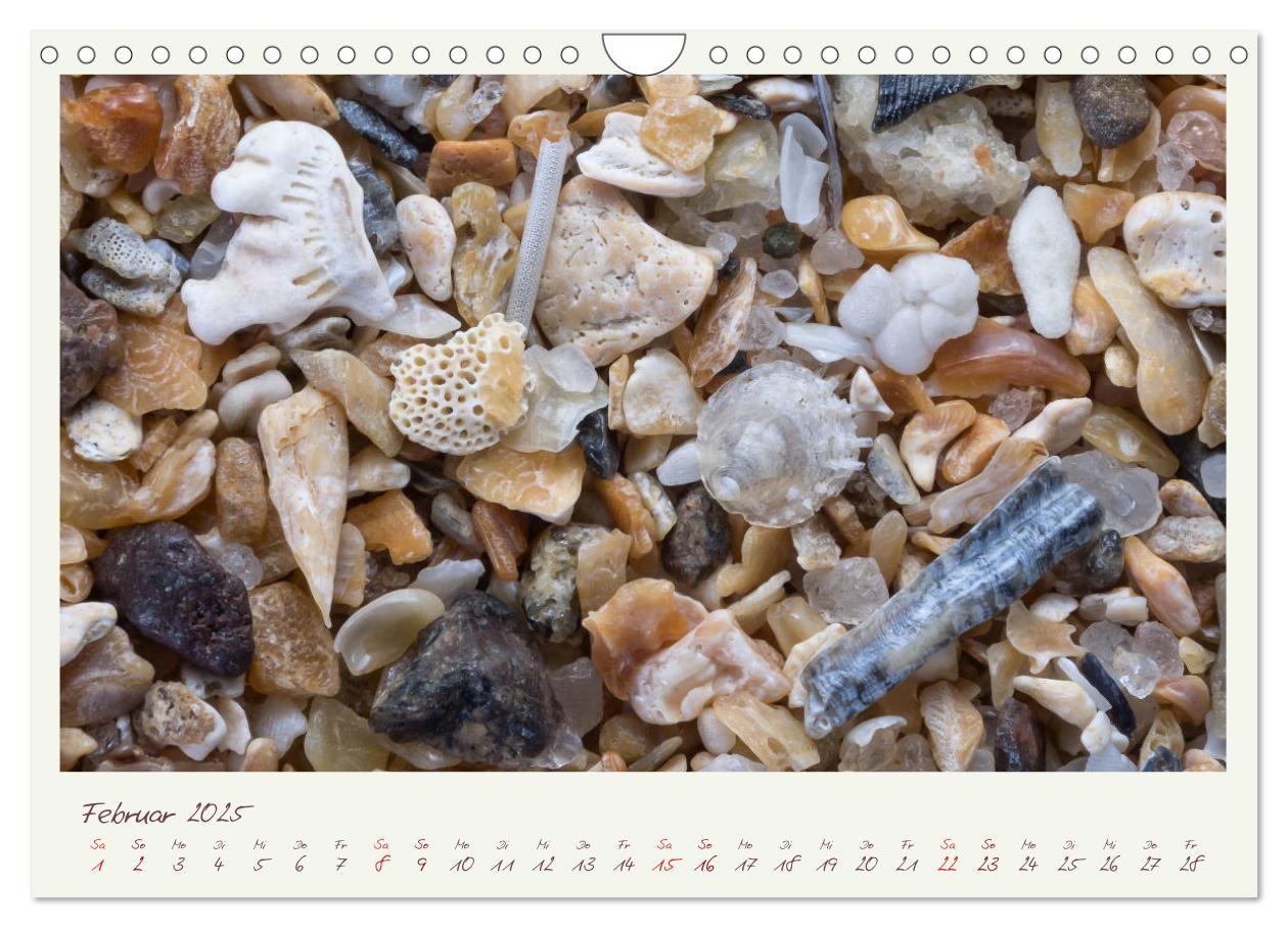 Bild: 9783435135479 | Abenteuer Mikrofotografie Sand (Wandkalender 2025 DIN A4 quer),...