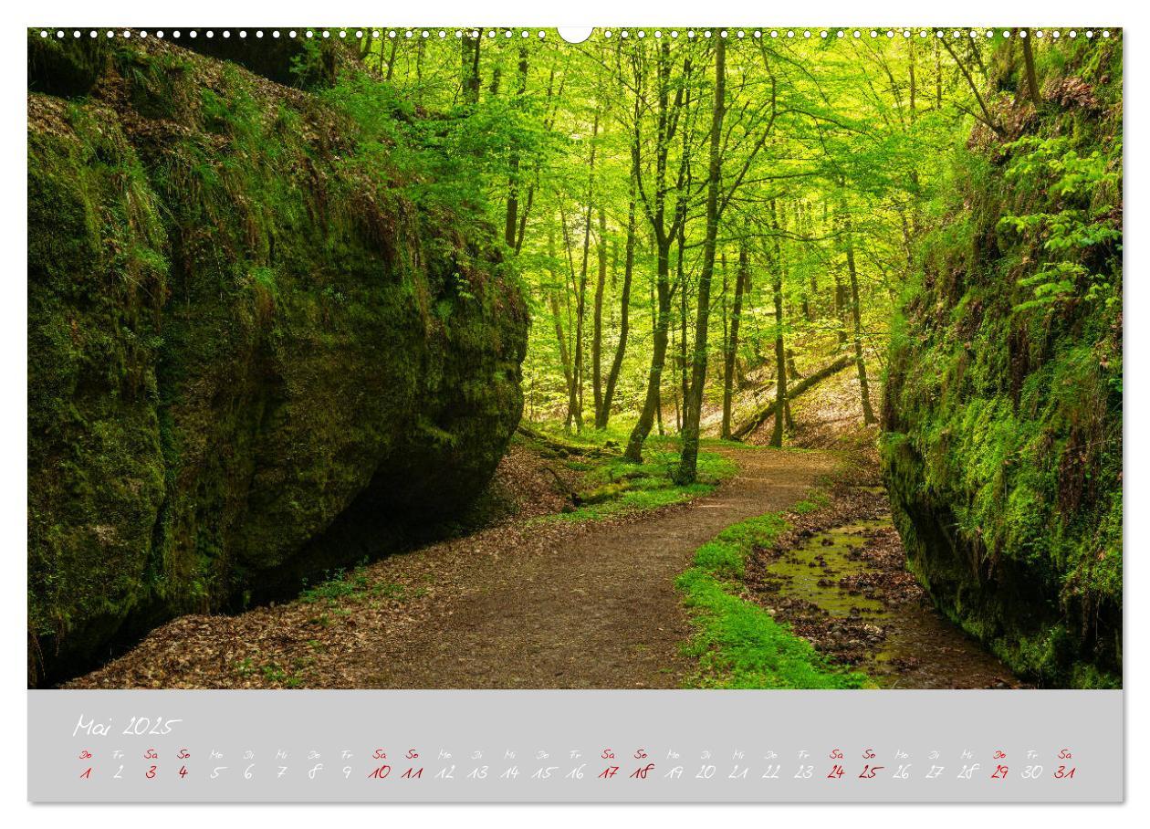 Bild: 9783435195602 | Thüringer Wald Das Grüne Herz Deutschlands (Wandkalender 2025 DIN...