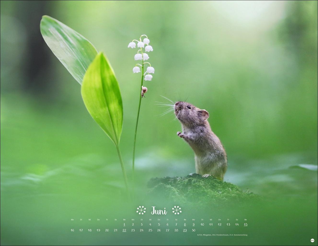 Bild: 9783756405183 | Vadim Trunov: Märchenhaftes Waldleben Posterkalender 2025 | Kalender