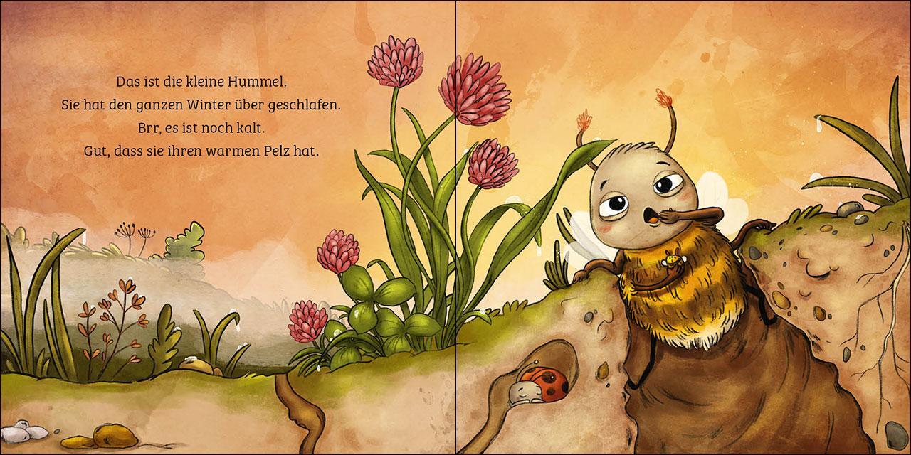 Bild: 9783743213173 | Mein erstes Naturbuch - Die Hummel | Sandra Grimm | Buch | Naturkind