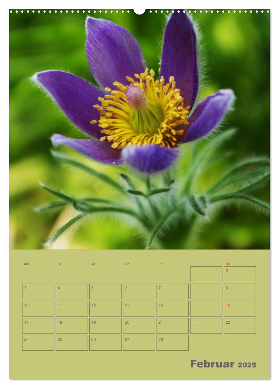 Bild: 9783457087817 | Naturbilder (Wandkalender 2025 DIN A2 hoch), CALVENDO Monatskalender