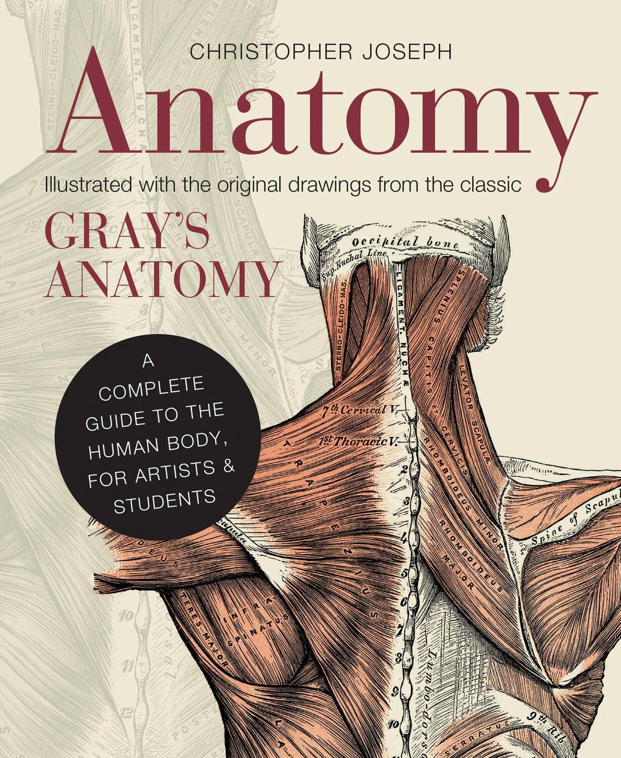 Cover: 9781782401278 | Anatomy | A Complete Guide to the Human Body, for Artists &amp; Students