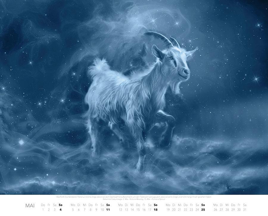 Bild: 9783966647984 | Patronus Kalender für Potterheads 2025 XXL-Wandkalender | Ferreira