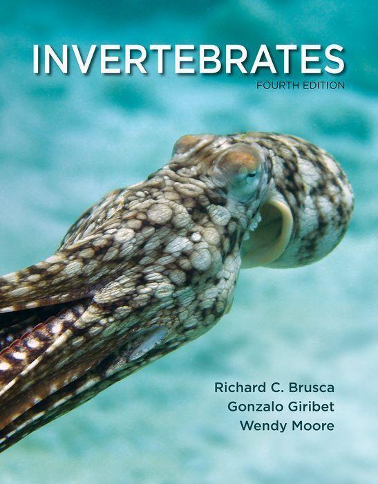 Cover: 9780197554418 | Invertebrates | Richard C. Brusca (u. a.) | Taschenbuch | Englisch