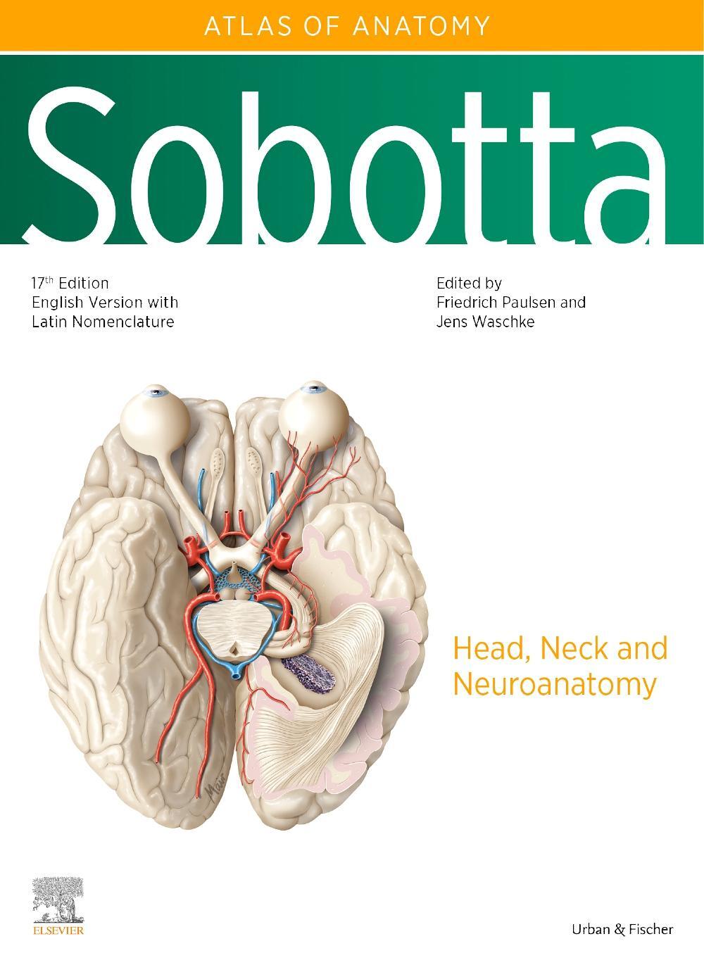Cover: 9780702067679 | Sobotta Atlas of Anatomy, Vol. 3, 17th ed., English/Latin | Buch
