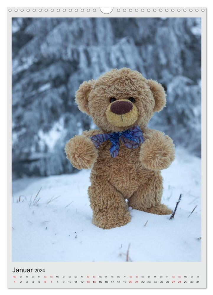 Bild: 9783675751798 | Travelling Teddy in Europa (Wandkalender 2024 DIN A3 hoch),...
