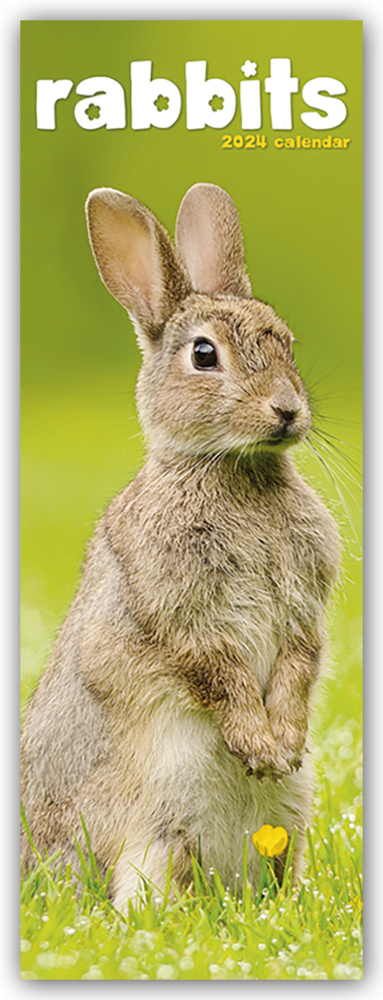 Cover: 9781804602355 | Rabbits - Kaninchen 2024 | Avonside Publishing Ltd | Kalender | 14 S.