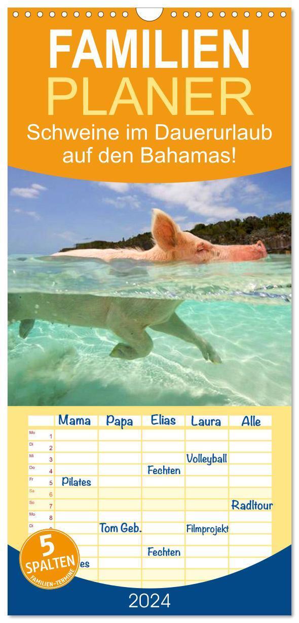 Cover: 9783383093838 | Familienplaner 2024 - Schweine im Dauerurlaub auf den Bahamas! mit...