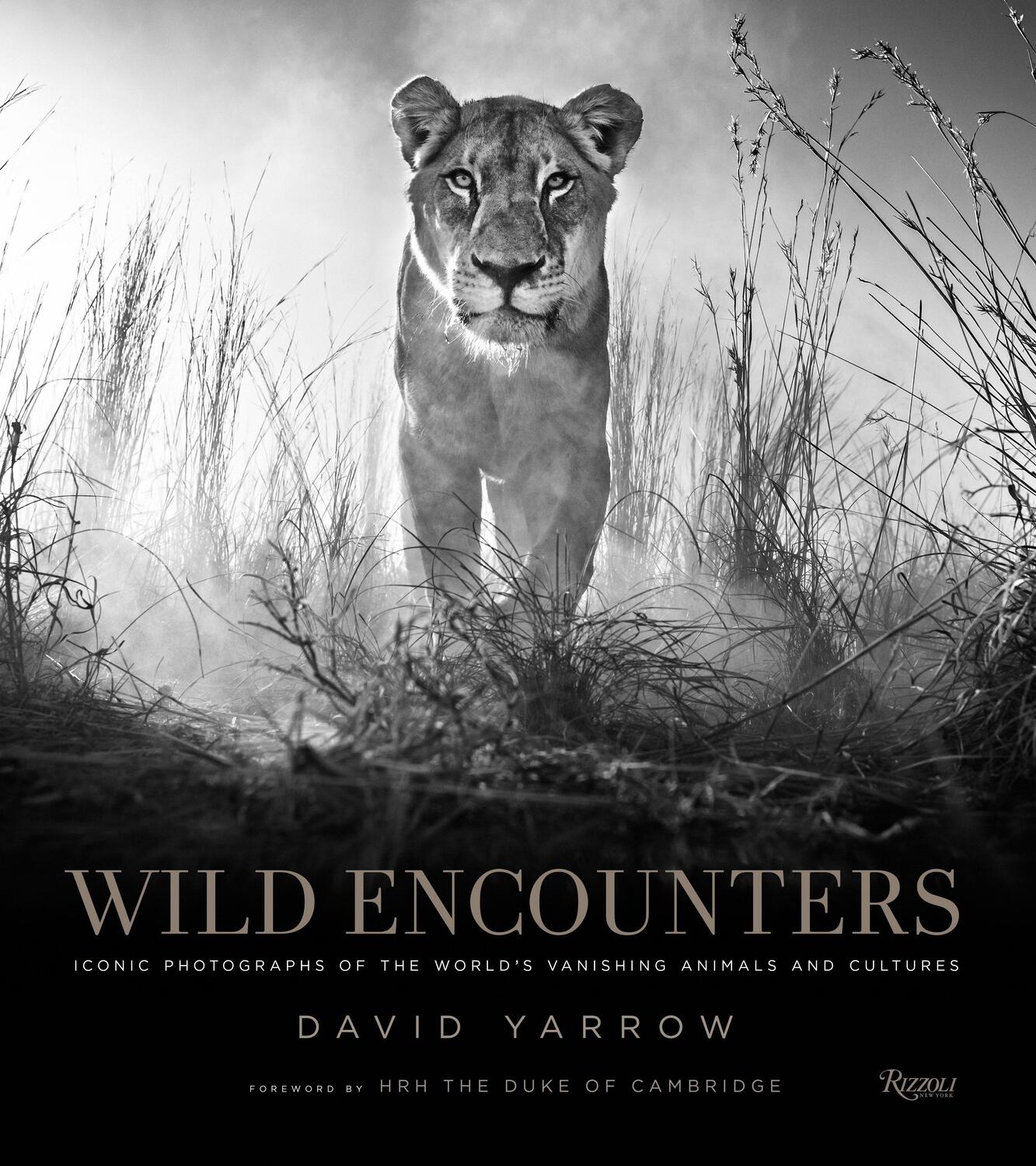Cover: 9780847858323 | Wild Encounters | David Yarrow | Buch | Einband - fest (Hardcover)