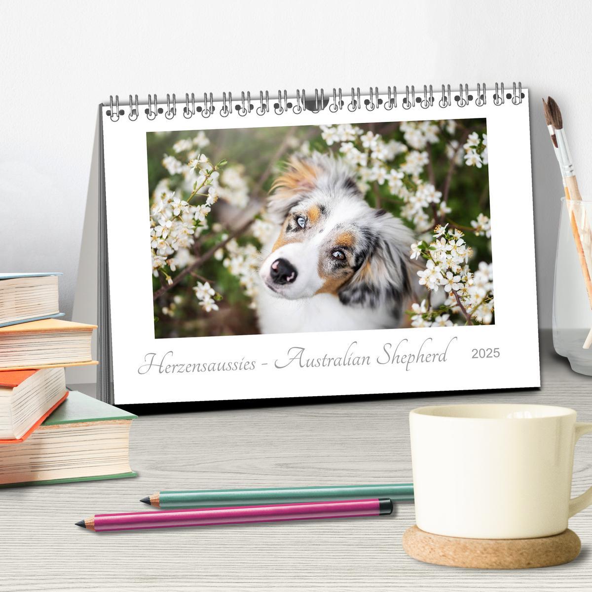 Bild: 9783435179954 | Herzensaussies - Australian Shepherd (Tischkalender 2025 DIN A5...