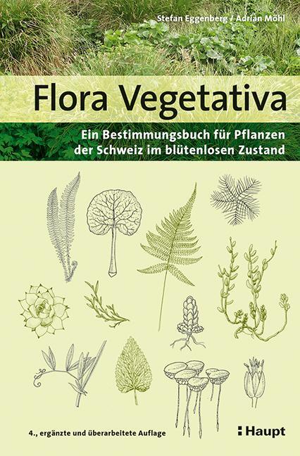 Cover: 9783258081779 | Flora Vegetativa | Stefan Eggenberg (u. a.) | Taschenbuch | Deutsch