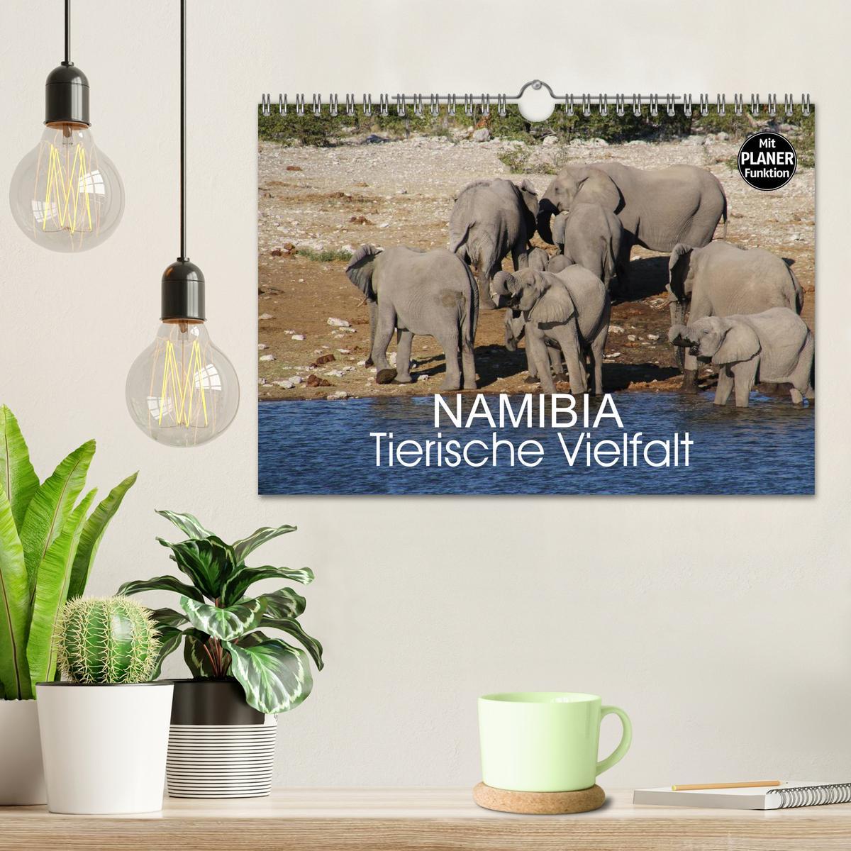 Bild: 9783435552818 | Namibia - Tierische Vielfalt (Planer) (Wandkalender 2025 DIN A4...