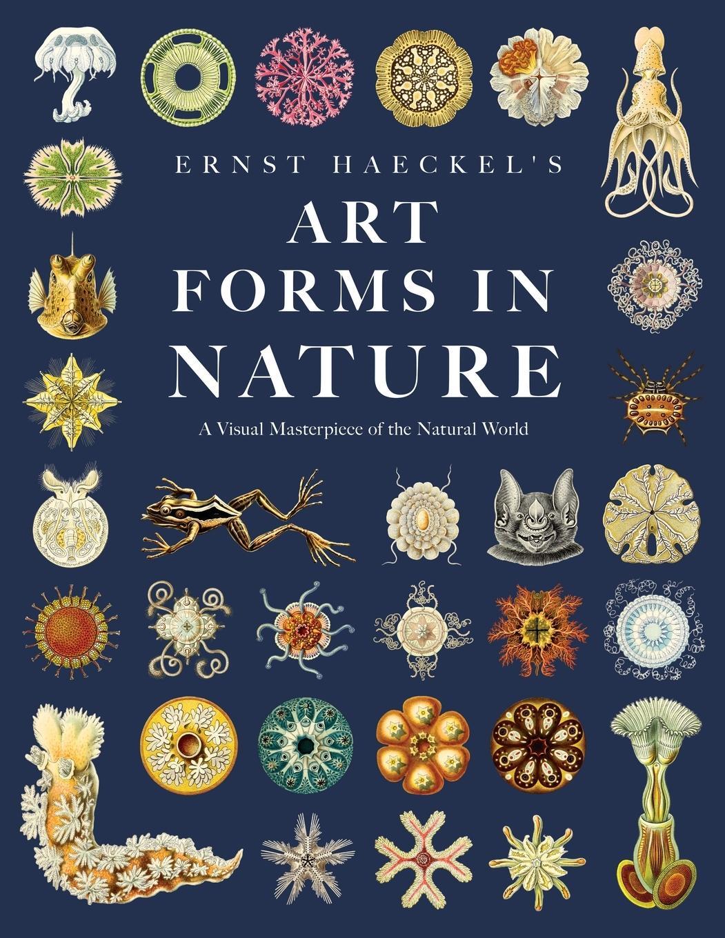 Cover: 9781528720809 | Ernst Haeckel's Art Forms in Nature | Ernst Haeckel | Taschenbuch