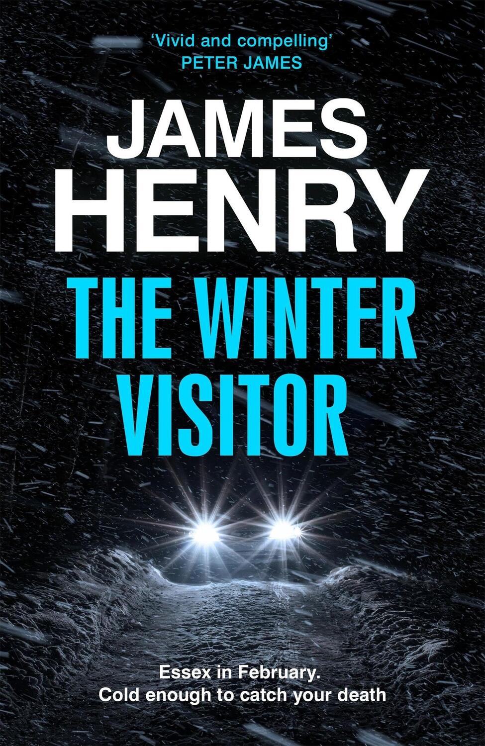 Cover: 9781529431735 | The Winter Visitor | James Henry | Buch | Englisch | 2024