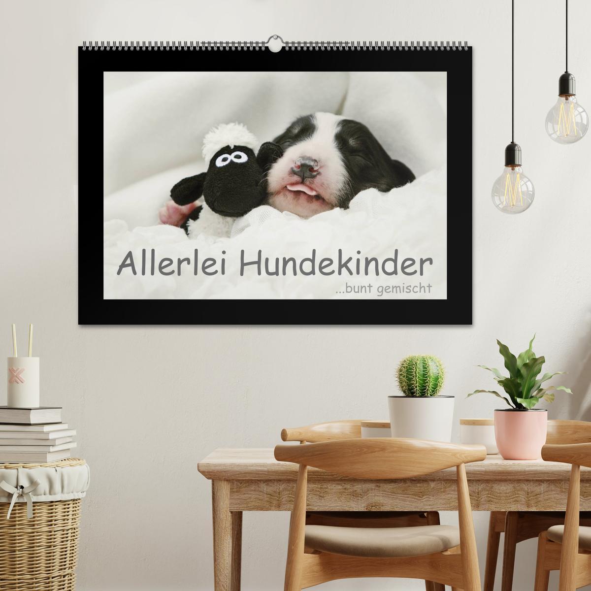 Bild: 9783435640744 | Allerlei Hundekinder (Wandkalender 2025 DIN A2 quer), CALVENDO...